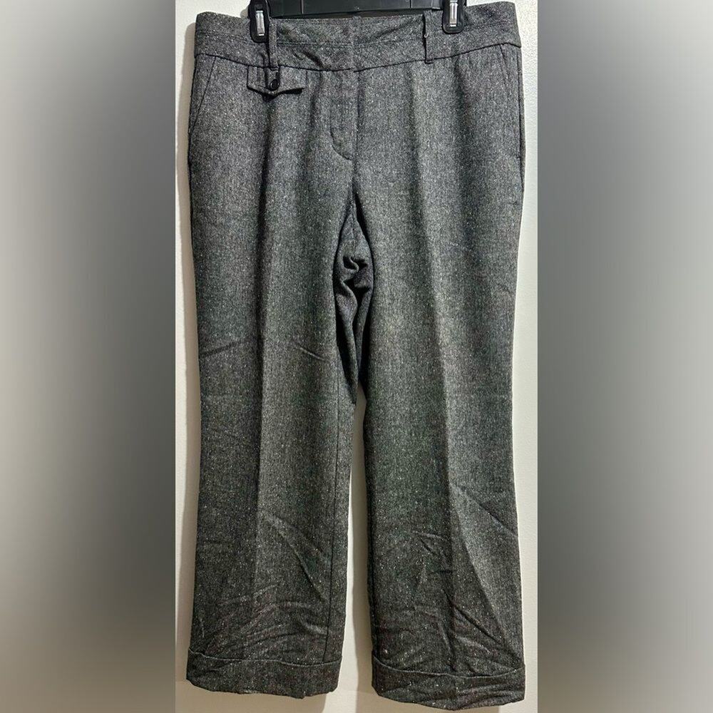 Ann Taylor LOFT Gray Women's Lined Trousers Size 10 (1)
